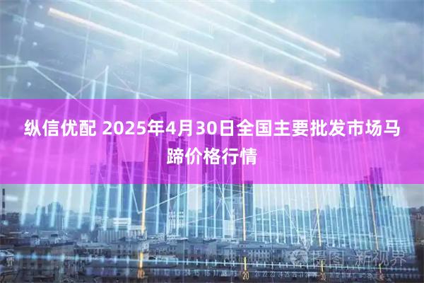 纵信优配 2025年4月30日全国主要批发市场马蹄价格行情