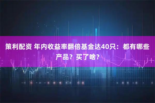 策利配资 年内收益率翻倍基金达40只：都有哪些产品？买了啥？