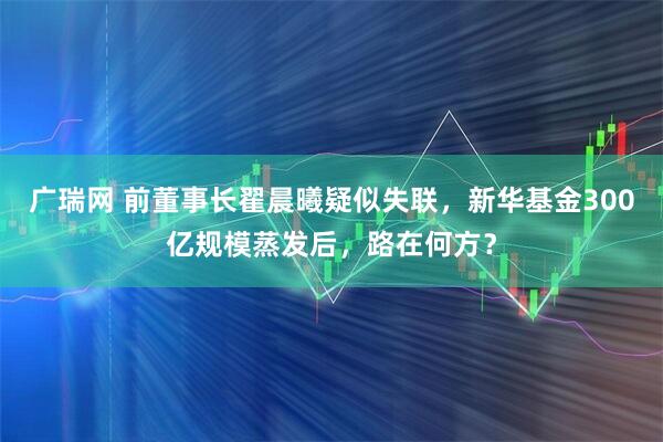 广瑞网 前董事长翟晨曦疑似失联，新华基金300亿规模蒸发后，路在何方？
